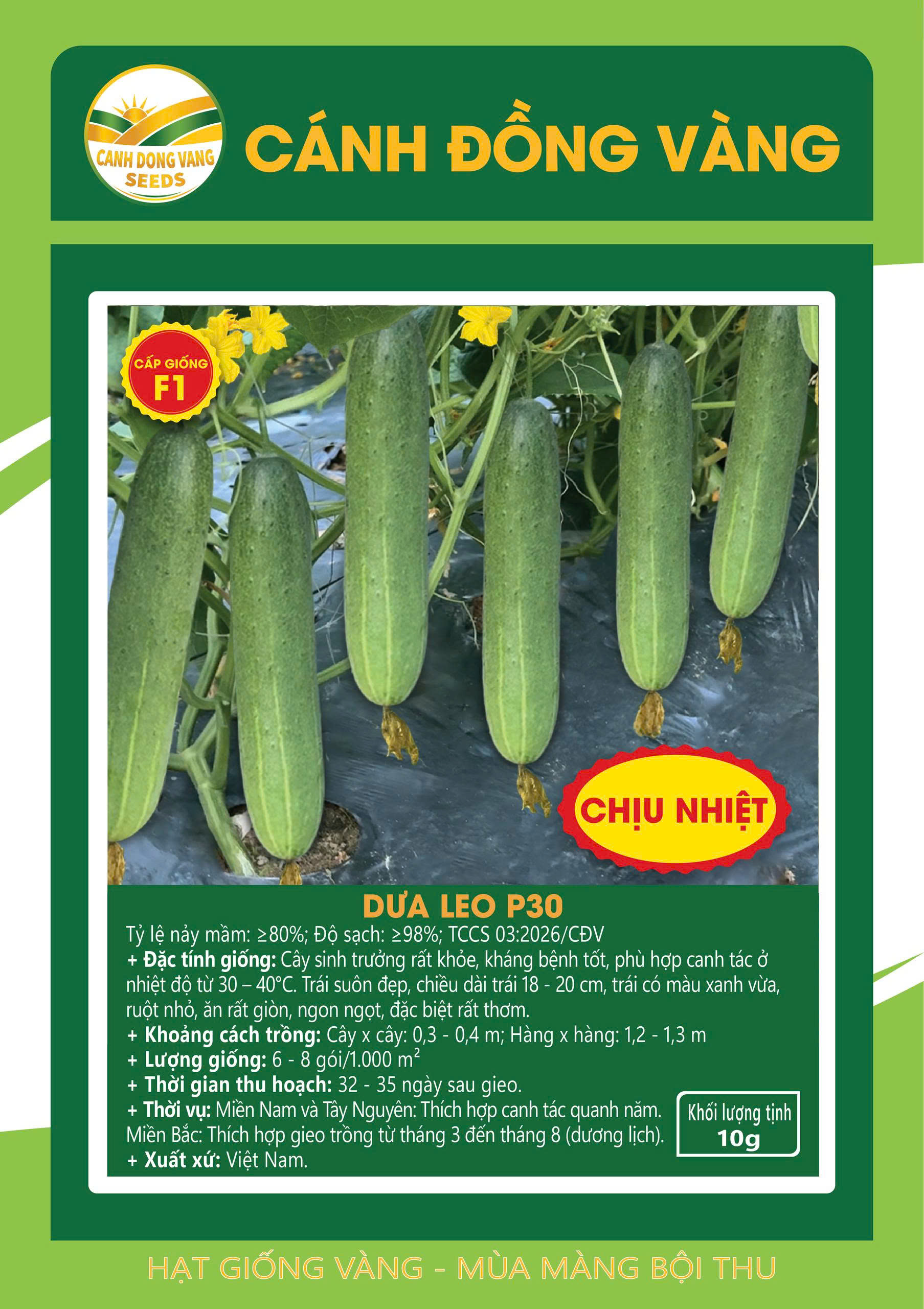DƯA LEO P30
